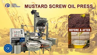 Canola Oil Press MachineScrew Rapeseed Oil Press MachineMustard Oil Machine Price in India [upl. by Timon]