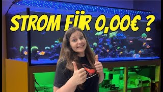 So SENKE ich meine ENERGIEKOSTEN 💸 für mein Meerwasseraquarium  Update Reeftank 1000 Liter Aquarium [upl. by Anihsat]