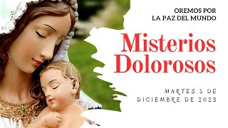 Rosario de Hoy MARTES 5 de DICIEMBRE  Misterios DOLOROSOS  Wilson Tamayo [upl. by Eedebez]