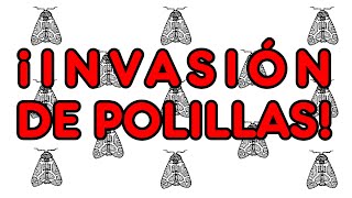 ¡Invasión de polillas explicación [upl. by Maclay]