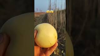 Eron nok sotuvda 91 1169200 top avto fruit rek rekk farming keşfet baki onthisday smartph [upl. by Tisdale208]