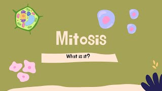 Mitosis process explained 2D drawing animation [upl. by Bull]