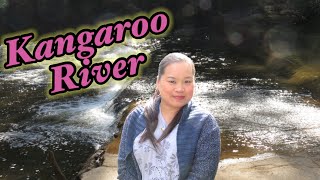 Kangaroo River I Holiday Haven Caravan Park [upl. by Manlove]