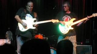 Walter Trout  Kill the Monkey  82512 [upl. by Nnair]