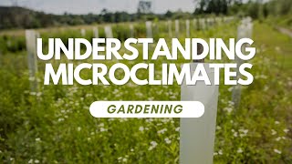 Understanding Microclimates In Your Garden [upl. by Vasta]