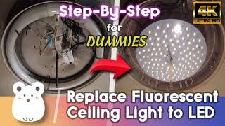 How to replace Circular Fluorescent Ceiling Lights with LED in 2022 DIY StepbyStep for Dummies [upl. by Etty]