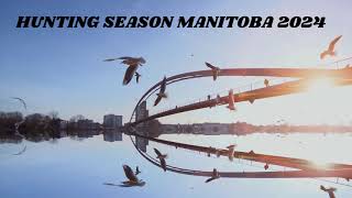 Waterfowl Hunting Teaser from Canada with MehboobAhmadShaikh [upl. by Ahmar]