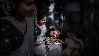 Sampangi movie  Sampangi Song lyrics 🎶🎶🎶 Telugu songs short videos music telugu ✨🎵🎶🖤 [upl. by Salocin]