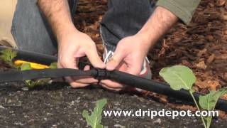 How to Install a Drip Irrigation System for Large Irregular Gardens [upl. by Xed]