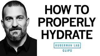 How to Properly Hydrate amp How Much Water to Drink Each Day  Dr Andrew Huberman [upl. by Larual]