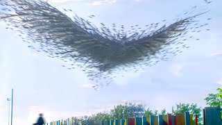 These Strangest Things Were Actually Seen in the Sky [upl. by Nnayrrehs]