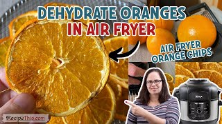 Dehydrate Oranges In The Air Fryer Ninja Foodi Orange Slices [upl. by Standford254]