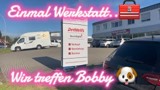 Wir leben Vollzeit im Wohnmobil 🚐 letzte Vorbereitungen❤️vlog hunde vanlife [upl. by Norrab819]