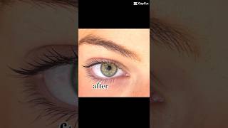 Lash Tint Transition 🤩 youtube shorts ytshorts [upl. by Edithe]