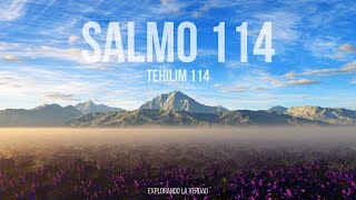 Salmo 114 Tehilim 114  Salmos Narrados en Español [upl. by Einhorn948]