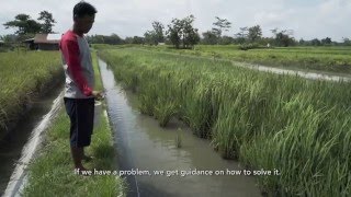 ABC of Fish Farming Fish Farming in Nigeria using earthen ponds [upl. by Garibull]