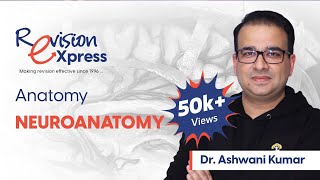 Revision eXpress Anatomy Neuroanatomy  Dr Ashwani Kumar [upl. by Templia639]