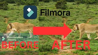 How To Remove Watermark In Filmora 13 For Free In 2024 [upl. by Benoite]