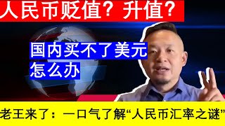 人民币汇率之谜：贬值升值？08如果国内换不到美元，还有什么其他的补救方法呢｜老王的咸猪手 [upl. by Abdel506]