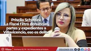 Priscila Schettini  La Fiscal filtró denuncias partes y expedientes a Villavicencio eso es delito [upl. by Annair917]