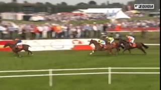 Royal Fou  Grand Steeple Chase des Flandres  Waregem  02092014 [upl. by Paver403]