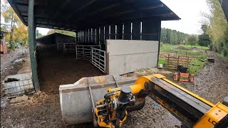 Cattle jobs mucking out etc [upl. by Areht]