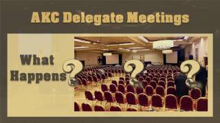 AKC Delegate [upl. by Adnuahsar]