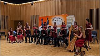 Culfadda U18 Grúpai Ceoil  Leinster Fleadh 8th July 2023 [upl. by Irret]