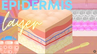 Integumentary Part 2 Epidermis Layer TagalogFilipino [upl. by Norvol534]