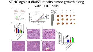 STING agonist DiaBZl along with engineered T cells impairs tumor growth Code 705 [upl. by Mahsih]