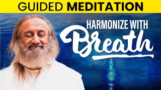 Relax Through Breath  Guided Meditation  Gurudev [upl. by Lonny15]