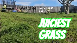 Mowing Techniques for the JUICIEST Grass [upl. by Lassiter]