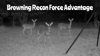 Deer Feeder Cam 1 Browning Recon Force Advantage Trail Camera Oct 2021 2024 [upl. by Giraldo]