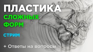 Пластика в рисунке сложных форм Как рисовать анатомию [upl. by Nitsruk]