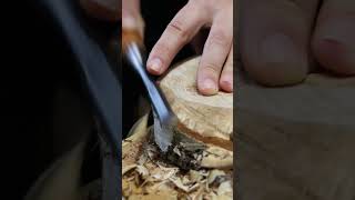 Carving a birch wood log into a tray bowl asmr craftblogger satisfying woodworking woodart [upl. by Salomo407]