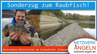 Nächster Halt Zander Hecht amp Barsch Angeln an der versunkenen Bahnstrecke im Eixendorfer Stausee [upl. by Kisor]