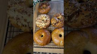 Homemade bagels bagels food eating bagel [upl. by Nadabus]