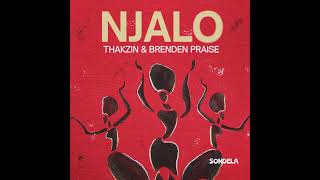 Thakzin · Brenden Praise  Njalo  3STEP AFRO HOUSE AMAPIANO [upl. by Nylzzaj801]