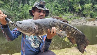 Extreme fishing expedition for Wolf fish  Deep in the jungle of Suriname [upl. by Cullen]