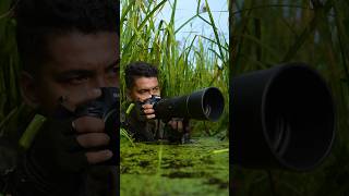 This video for ready to action Nikon Z8  NIkkor 600mm f63 nikonz8 wildlife nikon wildlife [upl. by Jocelyne]