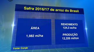 ARROZ BR SAFRA 201617  21082017 [upl. by Ttoile]