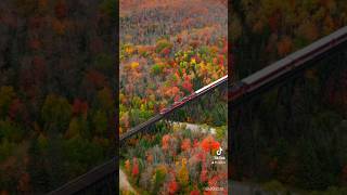 Magical train ride through Agawa Canyon Sault Ste Marie Canada train fallcolors autumn [upl. by Odrareg432]