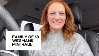 FAMILY OF 13 WEGMANS MINI HAUL [upl. by Helban]