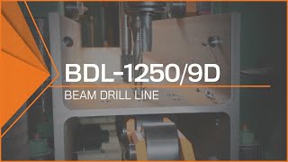 BDL12509D Beam Drill Line Heavy Duty Steel Beam Processing [upl. by Vasti]