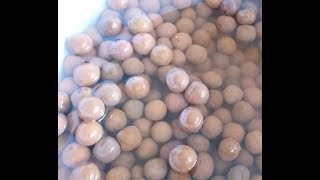 Hydroton Clay Pebbles  Pottingmedium to grow Orchids  hydroponics medium [upl. by Nueoras]