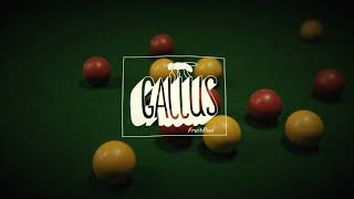 Gallus  Fruitflies Official Video [upl. by Nayek]