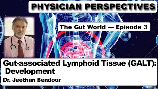 Physician Perspectives GutWorld Episode 3 — GALT Development [upl. by Hait817]