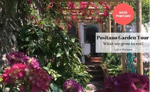 Positano Summer Garden Tour [upl. by Tutt]