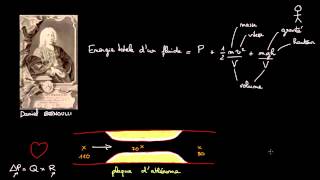 Vitesse et pression au niveau dune stenose [upl. by Jessamine]