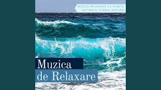 Muzică Relaxantă [upl. by Imotih]